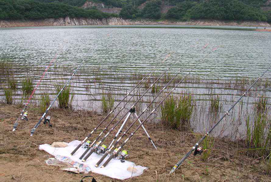 Dscn2198.jpg