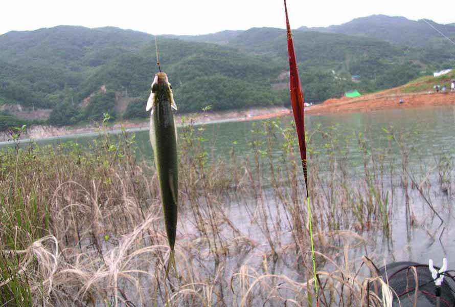 Dscn2200.jpg