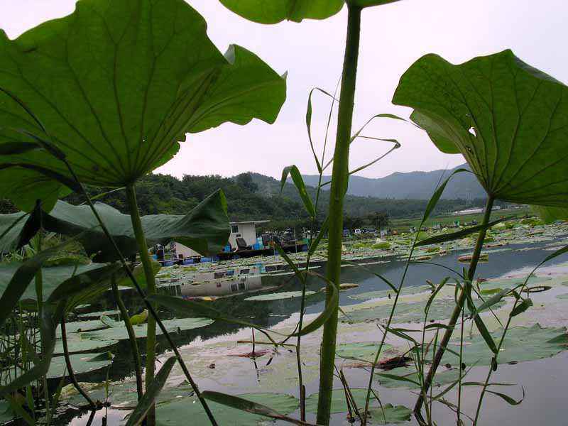 Dscn1934.jpg