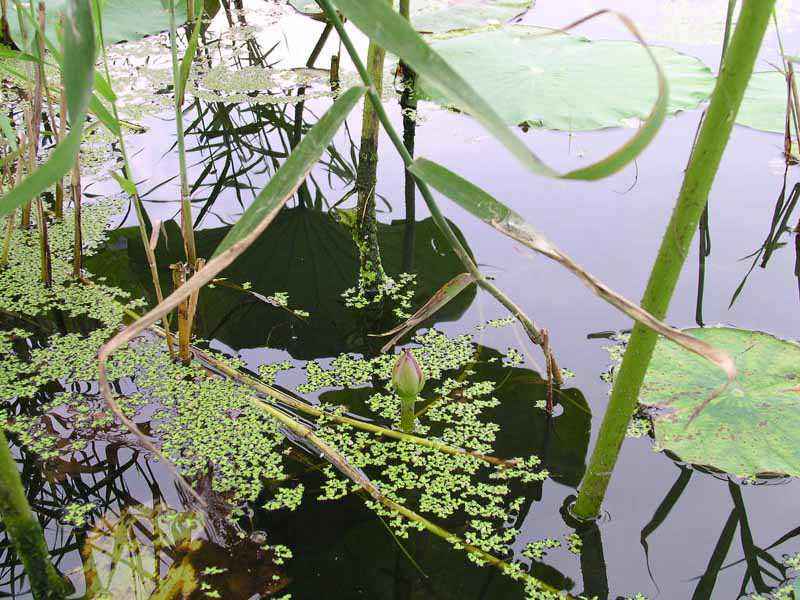 Dscn1935.jpg
