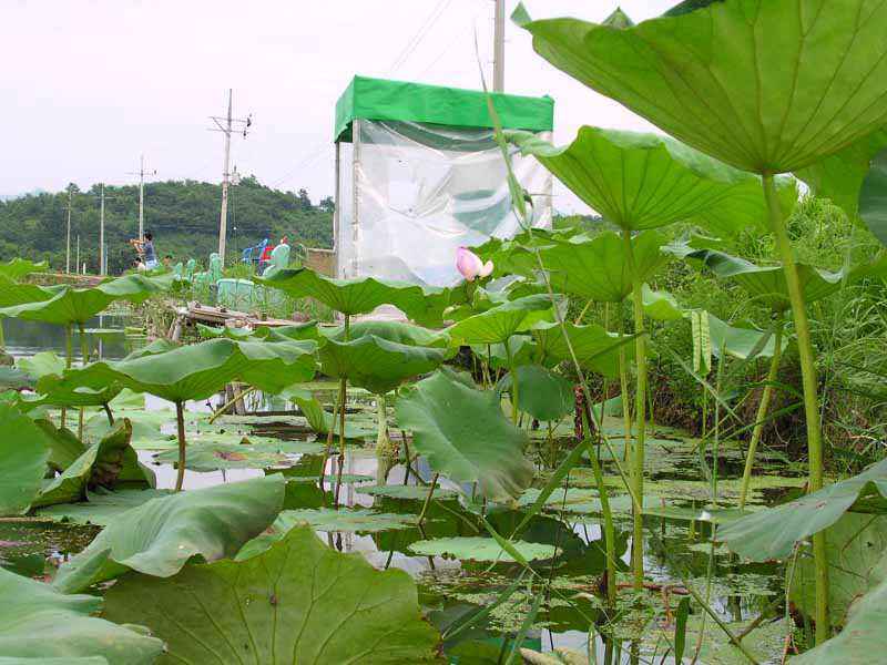 Dscn1940.jpg