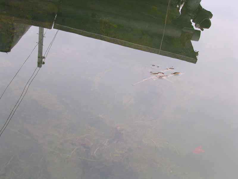 Dscn1941.jpg