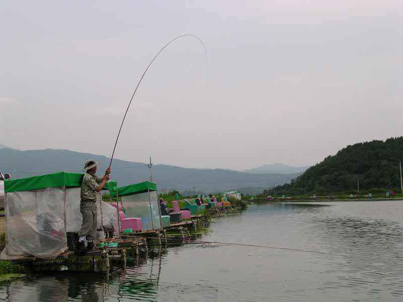 Dscn1945.jpg