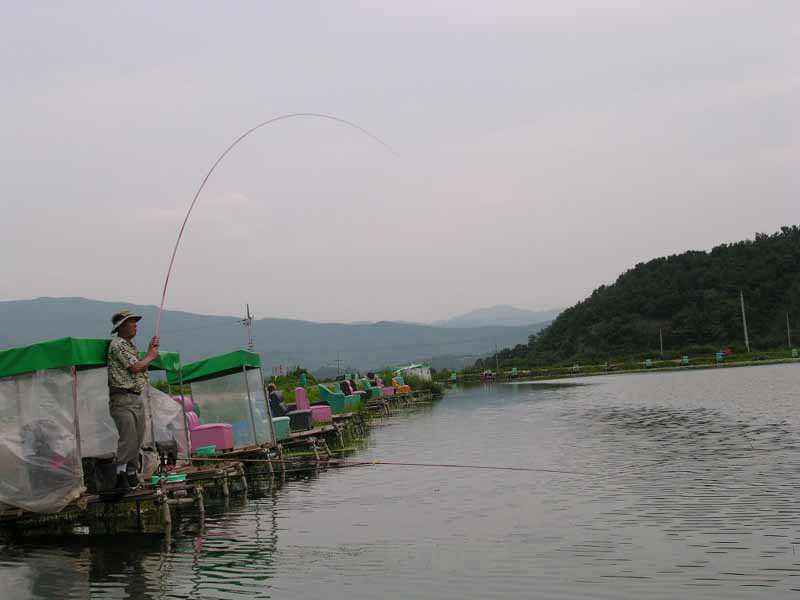 Dscn1946.jpg