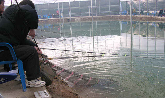 08.jpg