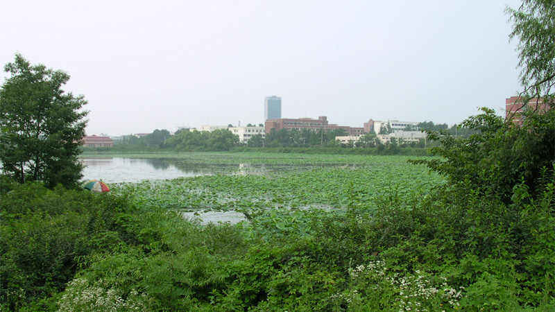 d-9.jpg