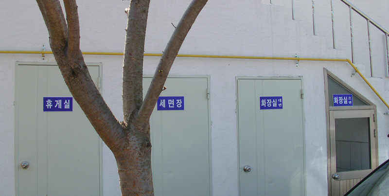 31802.jpg