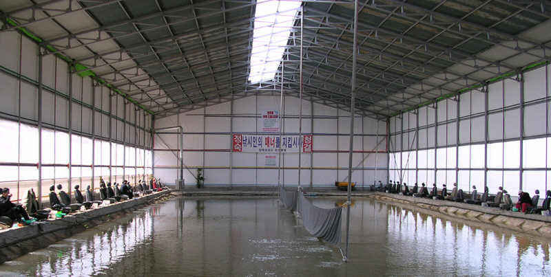 31803.jpg
