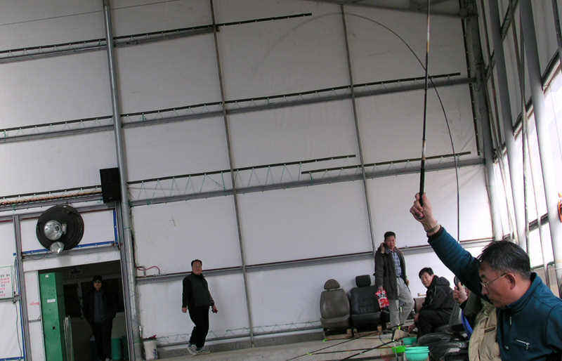 31808.jpg