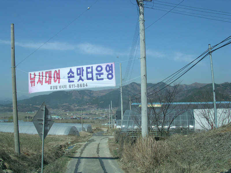 31814.jpg