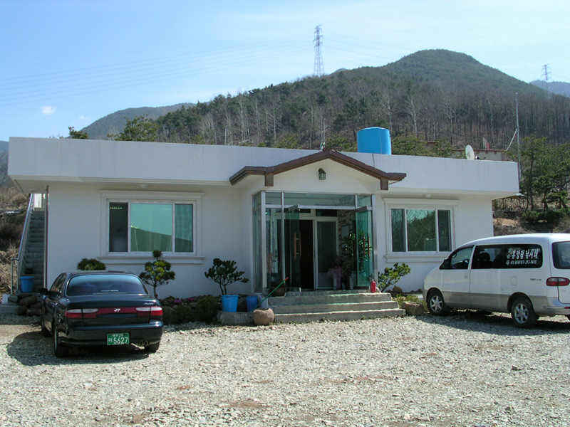 31816.jpg
