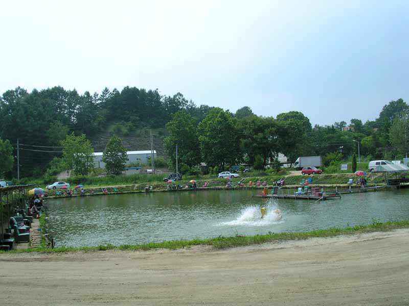 Dscn1506.jpg