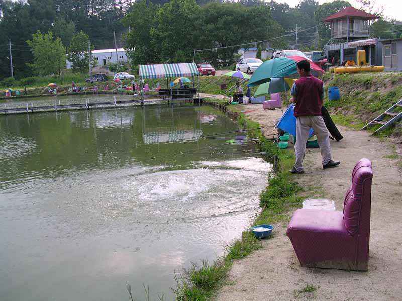 Dscn1508.jpg