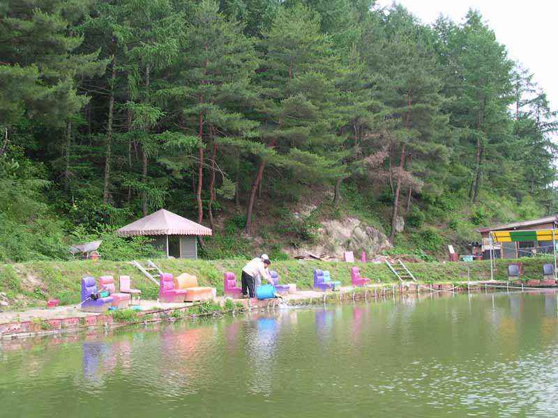 Dscn1509.jpg