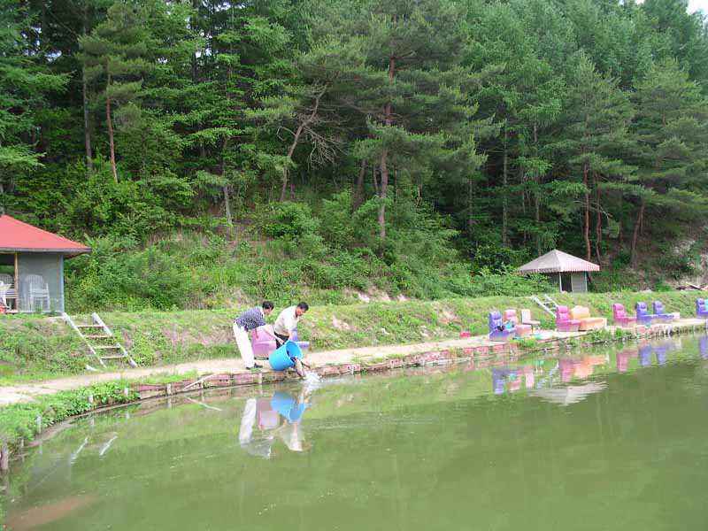 Dscn1510.jpg