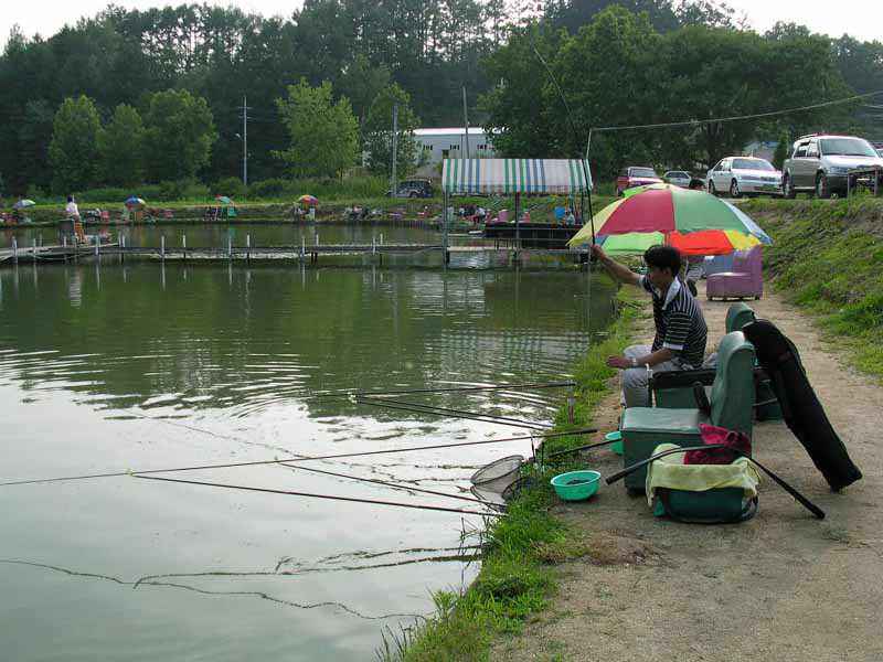 Dscn1511.jpg