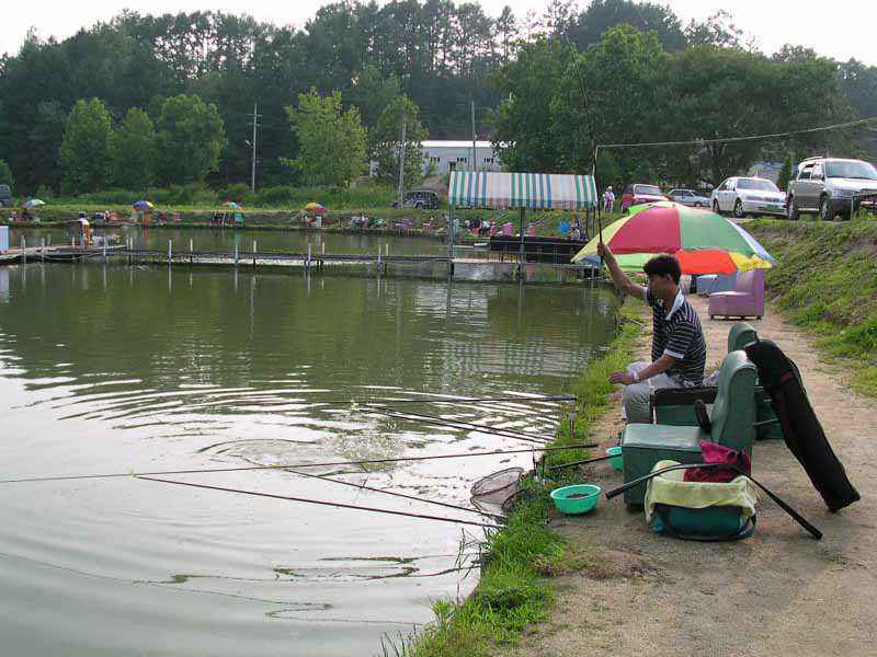 Dscn1512.jpg