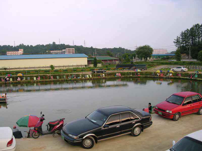 Dscn1513.jpg