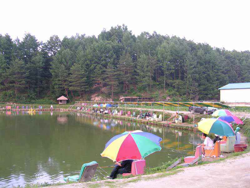 Dscn1515.jpg