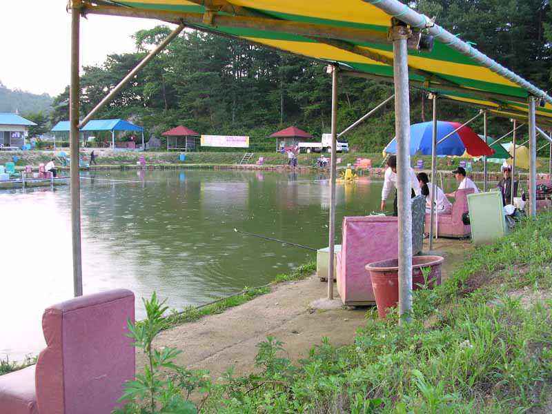 Dscn1516.jpg