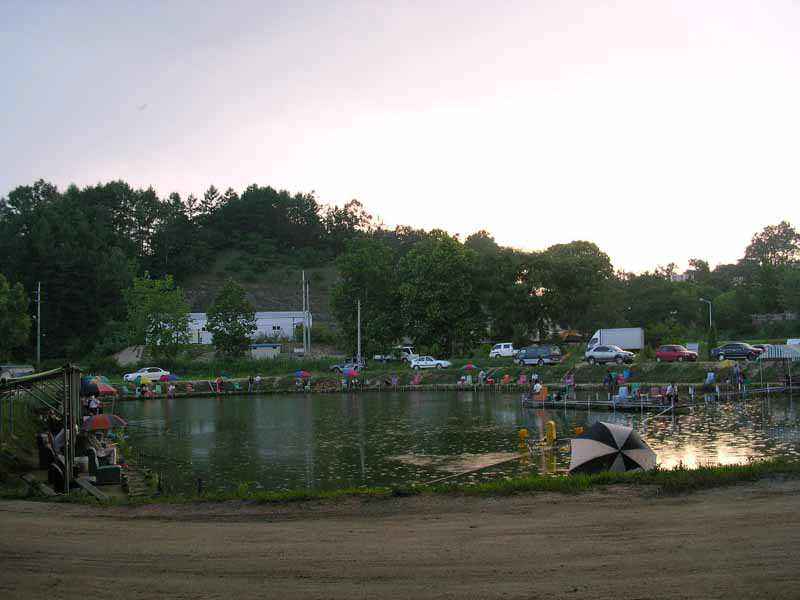 Dscn1517.jpg