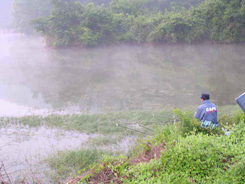 Dscn1450.jpg