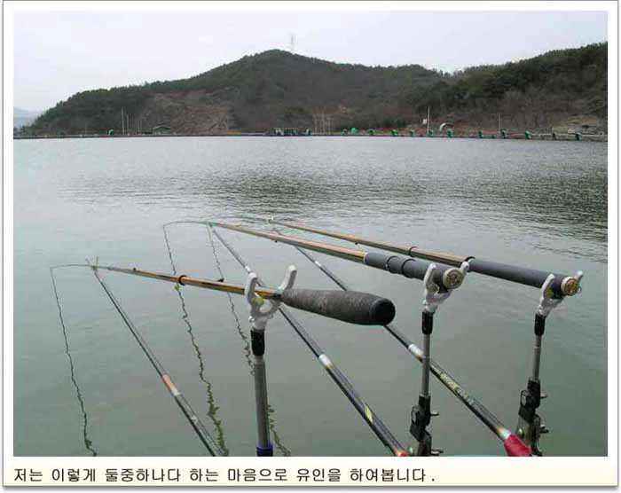 2905.jpg