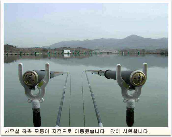 2912.jpg