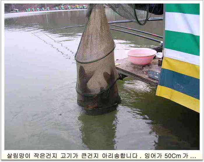 2917.jpg