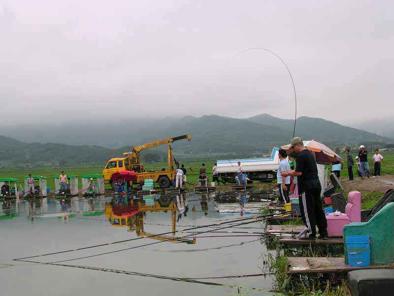 Dscn1761.jpg