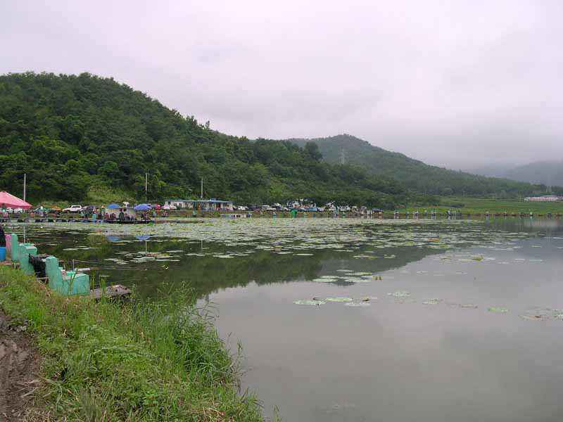 Dscn1764.jpg