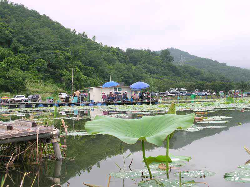 Dscn1766.jpg