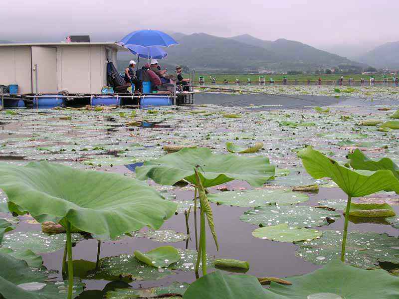 Dscn1767.jpg