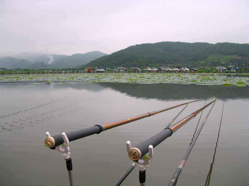 Dscn1771.jpg