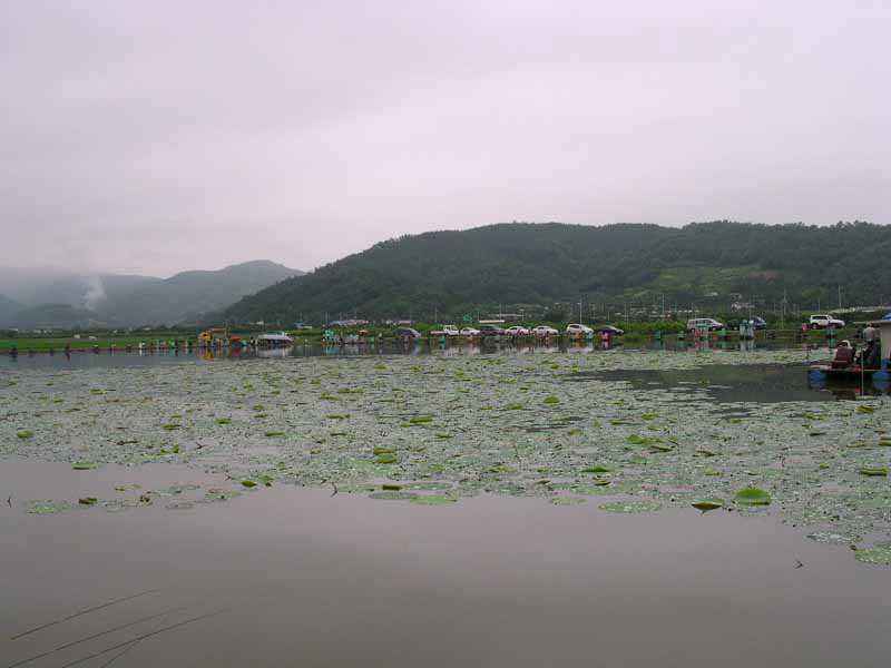 Dscn1772.jpg