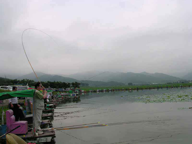 Dscn1778.jpg