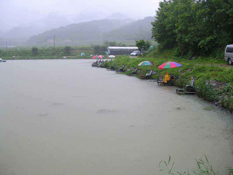 Dscn1786.jpg