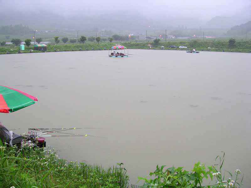 Dscn1787.jpg