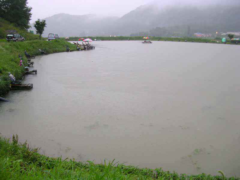 Dscn1793.jpg