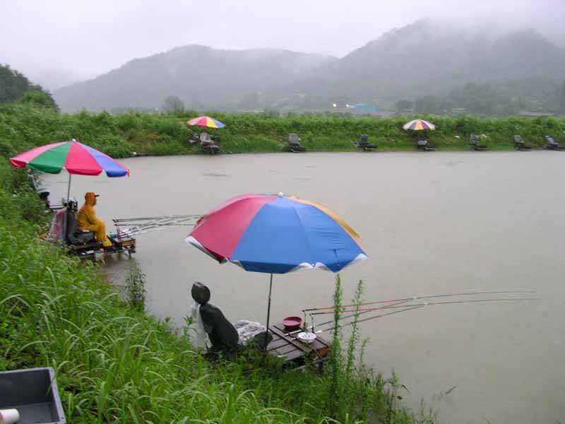 Dscn1796.jpg