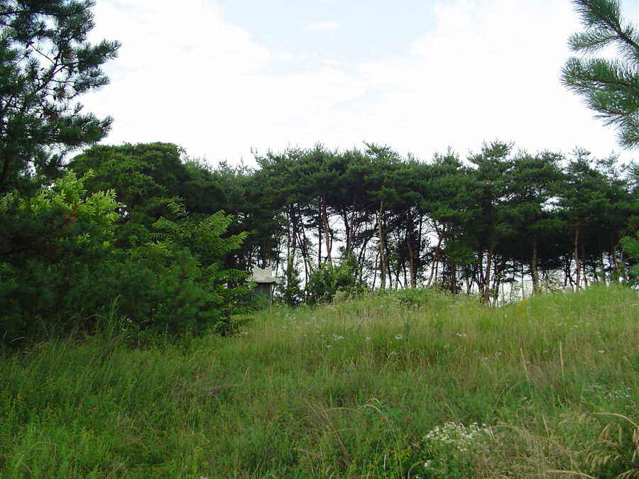 DSC00408.JPG