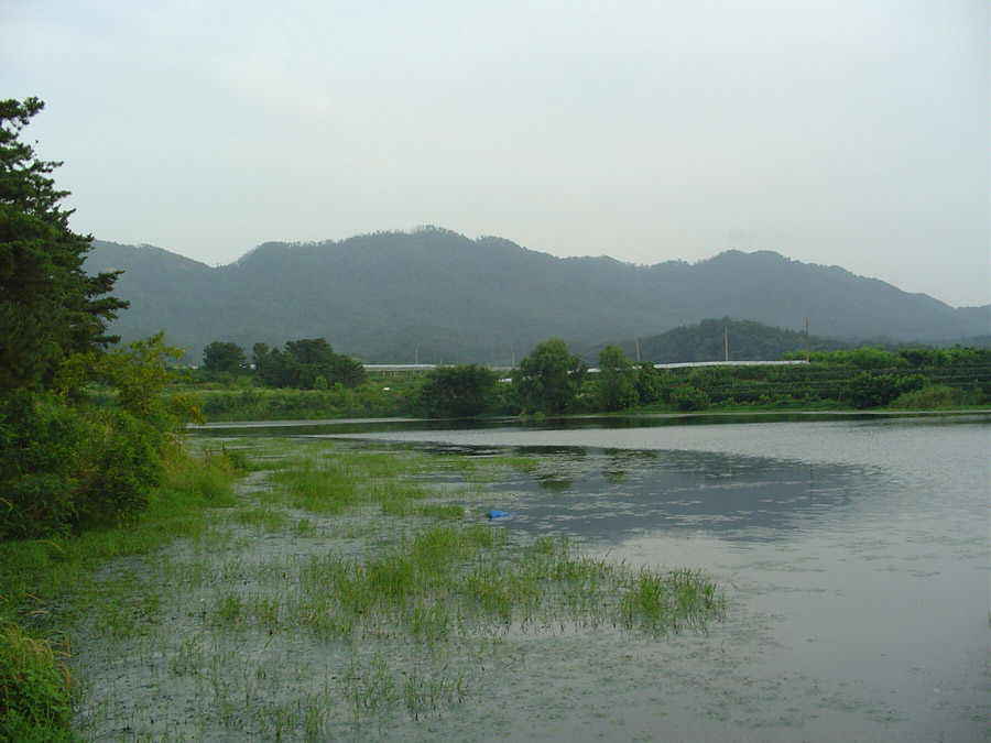DSC00411.JPG