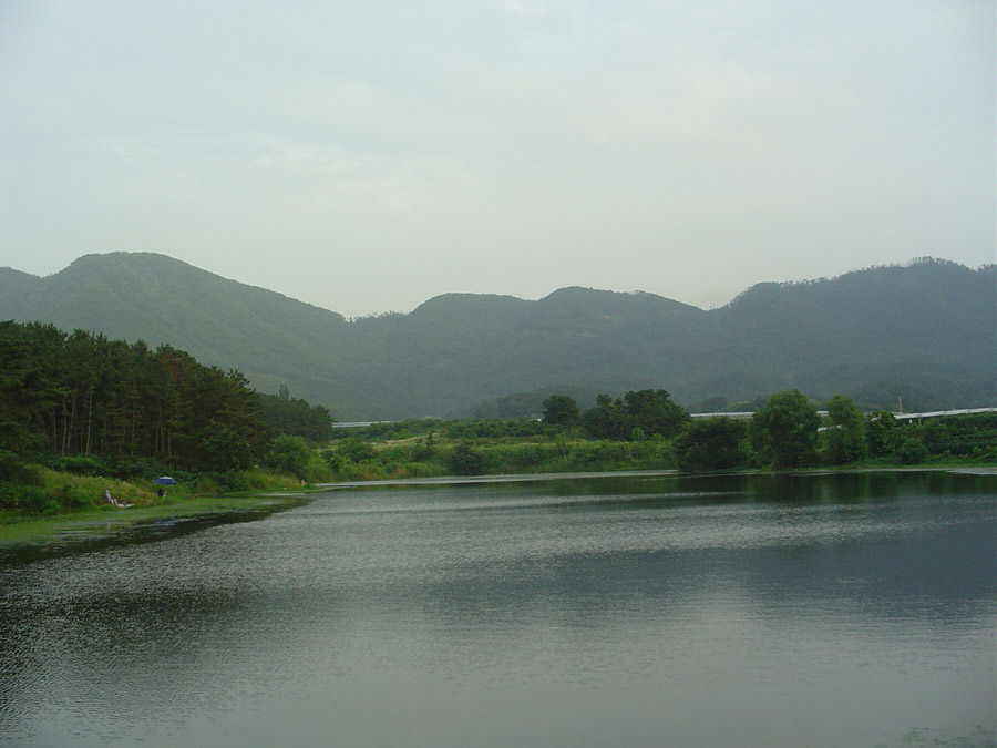 DSC00412.JPG