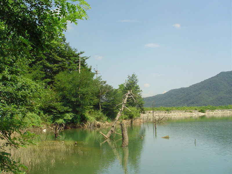 DSC00538.JPG