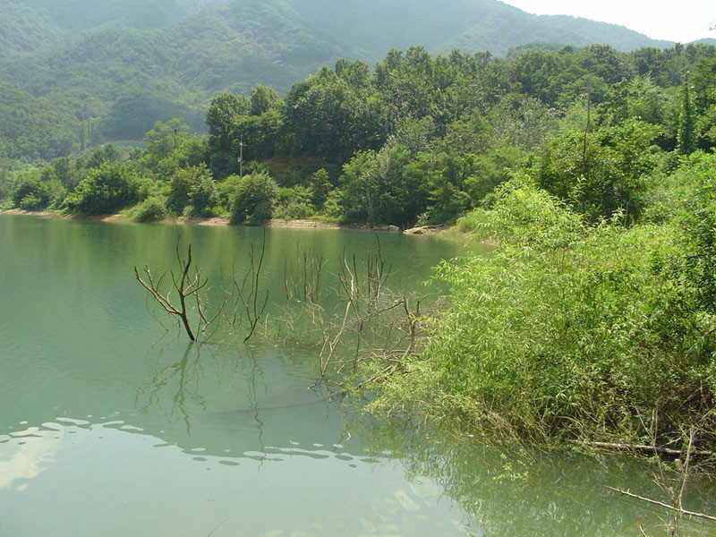 DSC00539.JPG