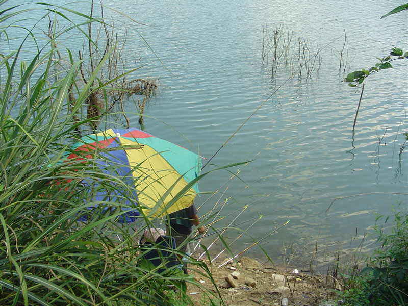 DSC00542.JPG