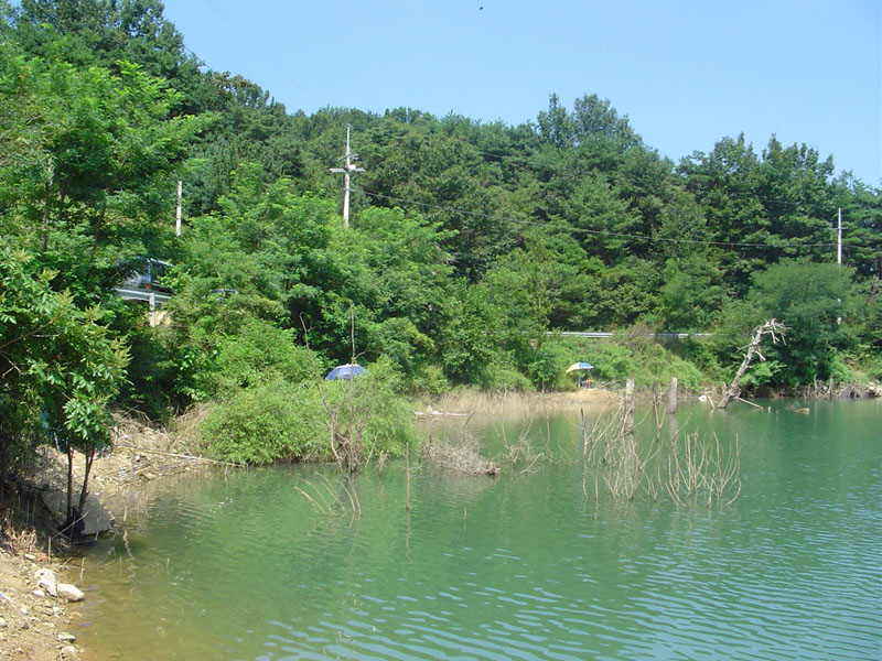 DSC00544.JPG
