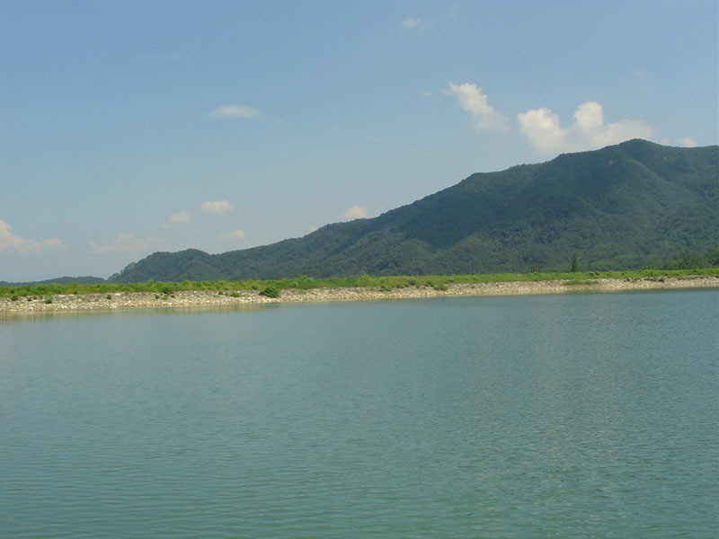 DSC00546.JPG