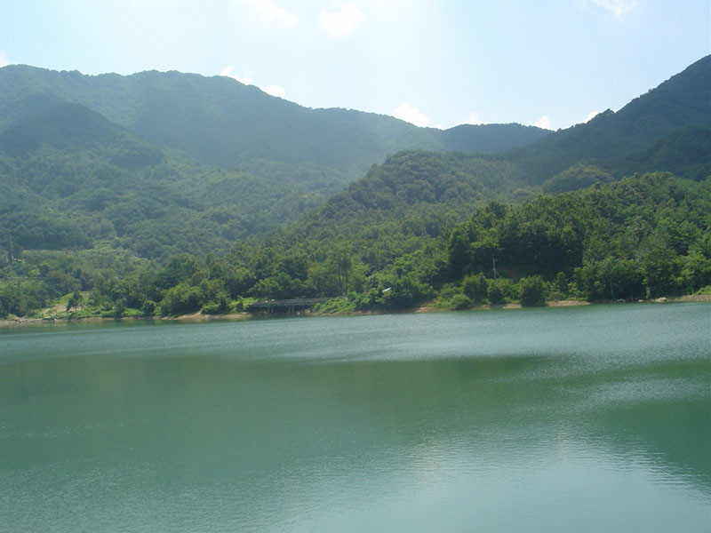 DSC00549.JPG