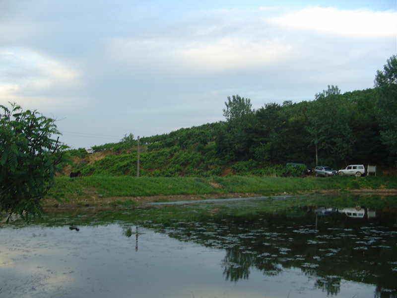 Dsc00290.jpg